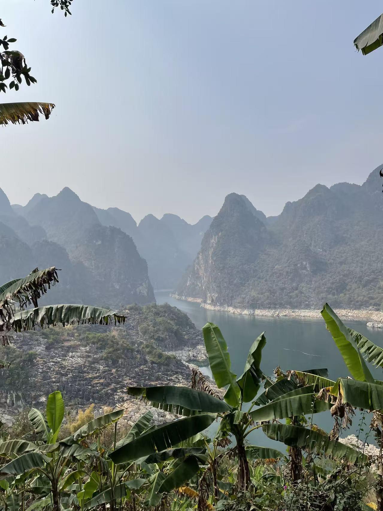 Karst peaks rising straight out of the green water of Wanfeng Lake, a flooded valley on the Nanpan river, framed by banana leaves, near Xingyi, Guizhou